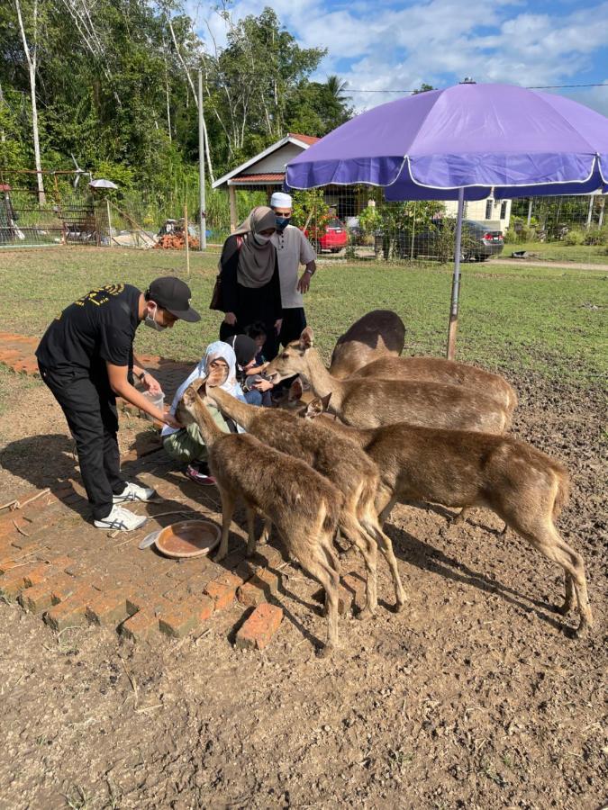 Branda Kampung Sumpitan Lenggong Tiada Sungai Hotel Kampong Ulu Jepai Kültér fotó