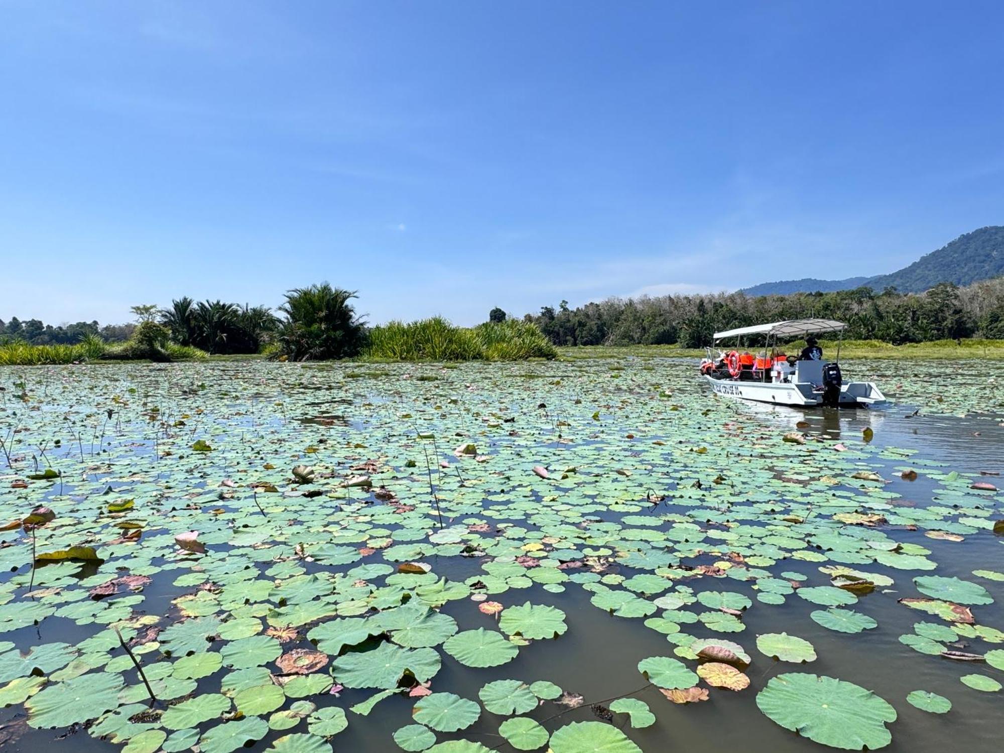 Branda Kampung Sumpitan Lenggong Tiada Sungai Hotel Kampong Ulu Jepai Kültér fotó